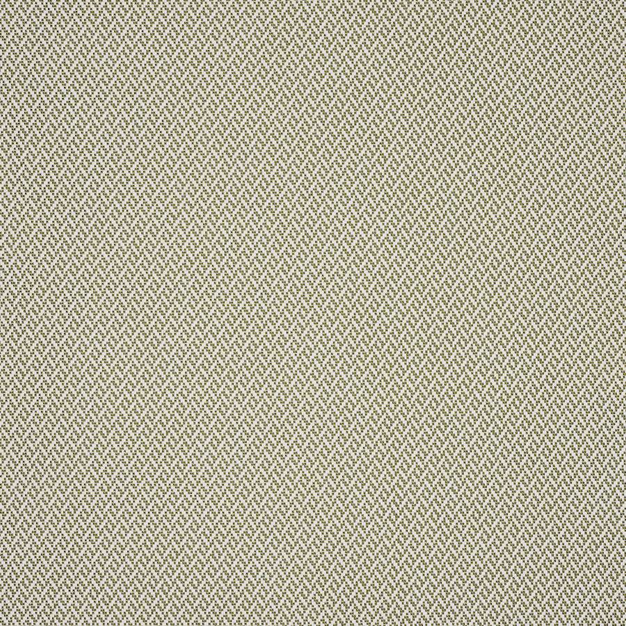 Manuel Canovas Ortigia