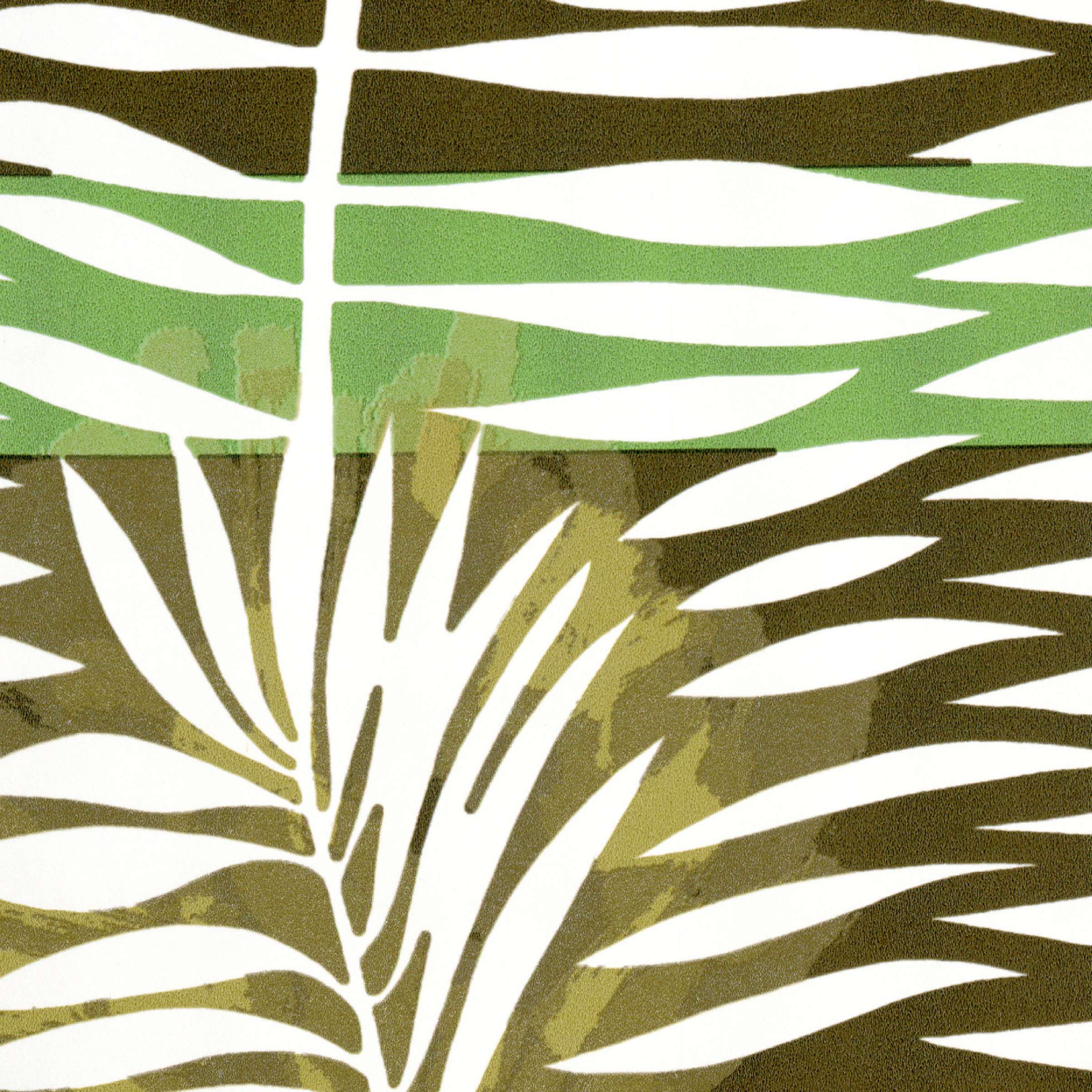 A l'ombre des cannisses