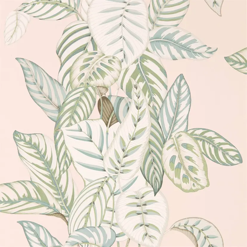 Orchid/Eucalyptus