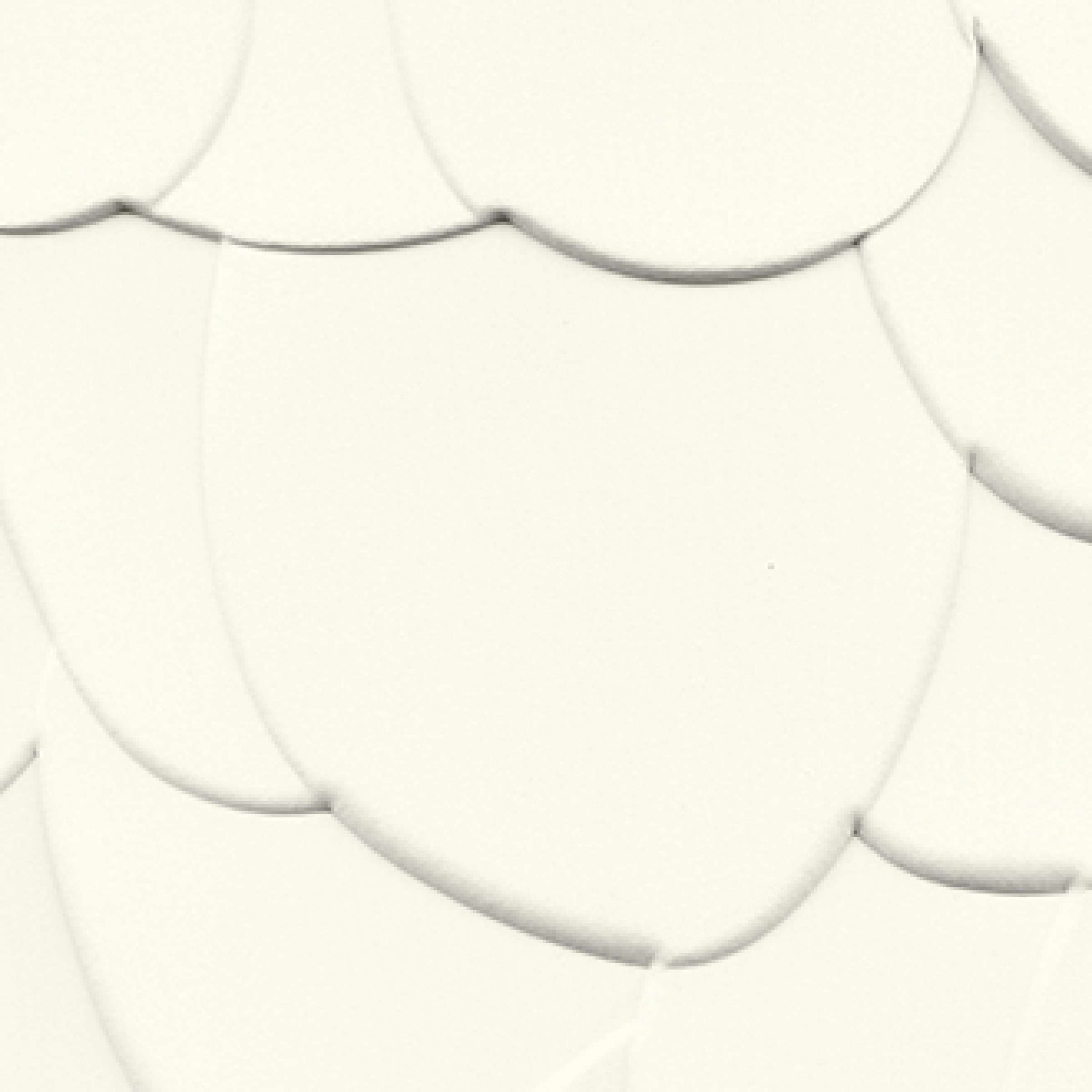 L'esprit de la matière