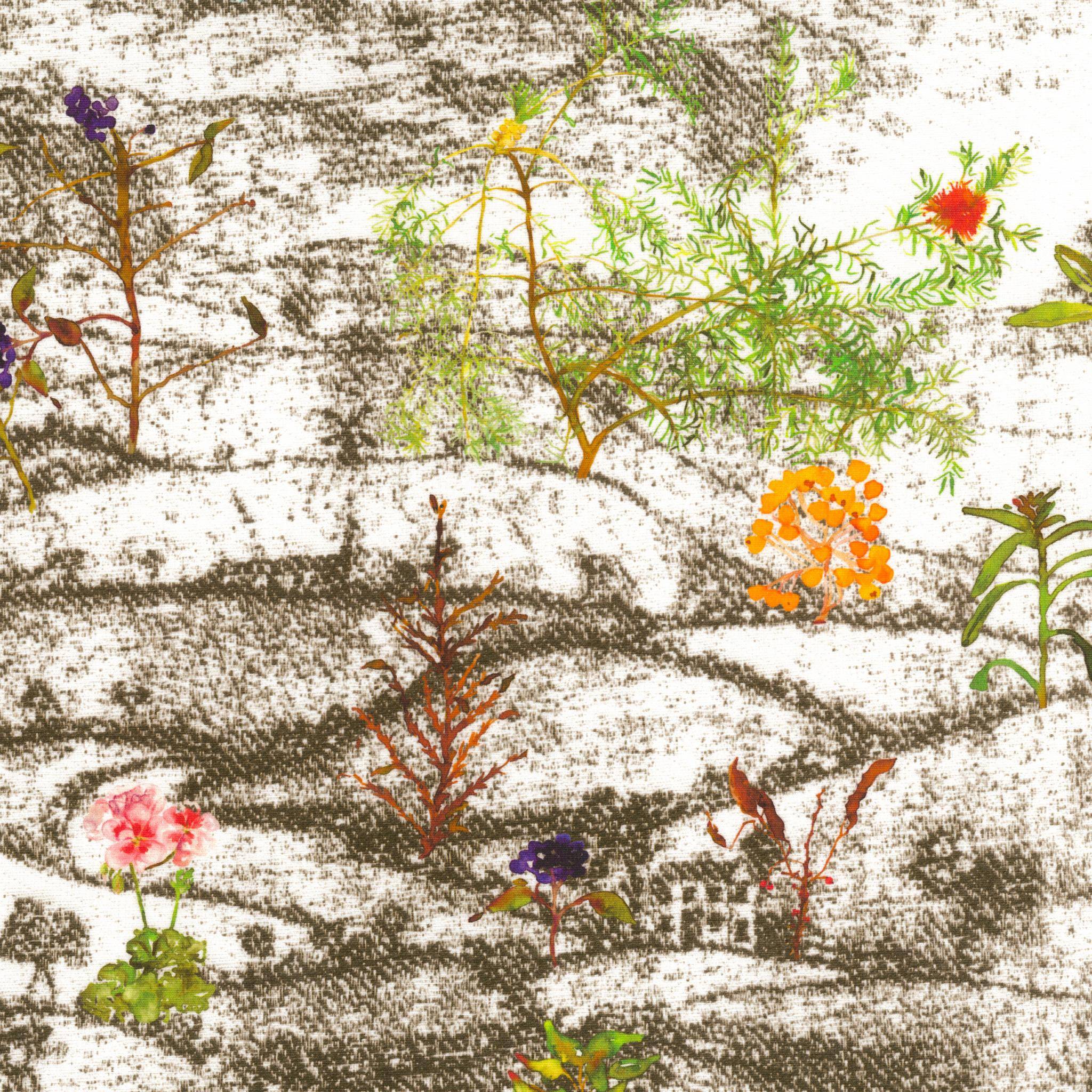 Rubelli Derbyshire Spring