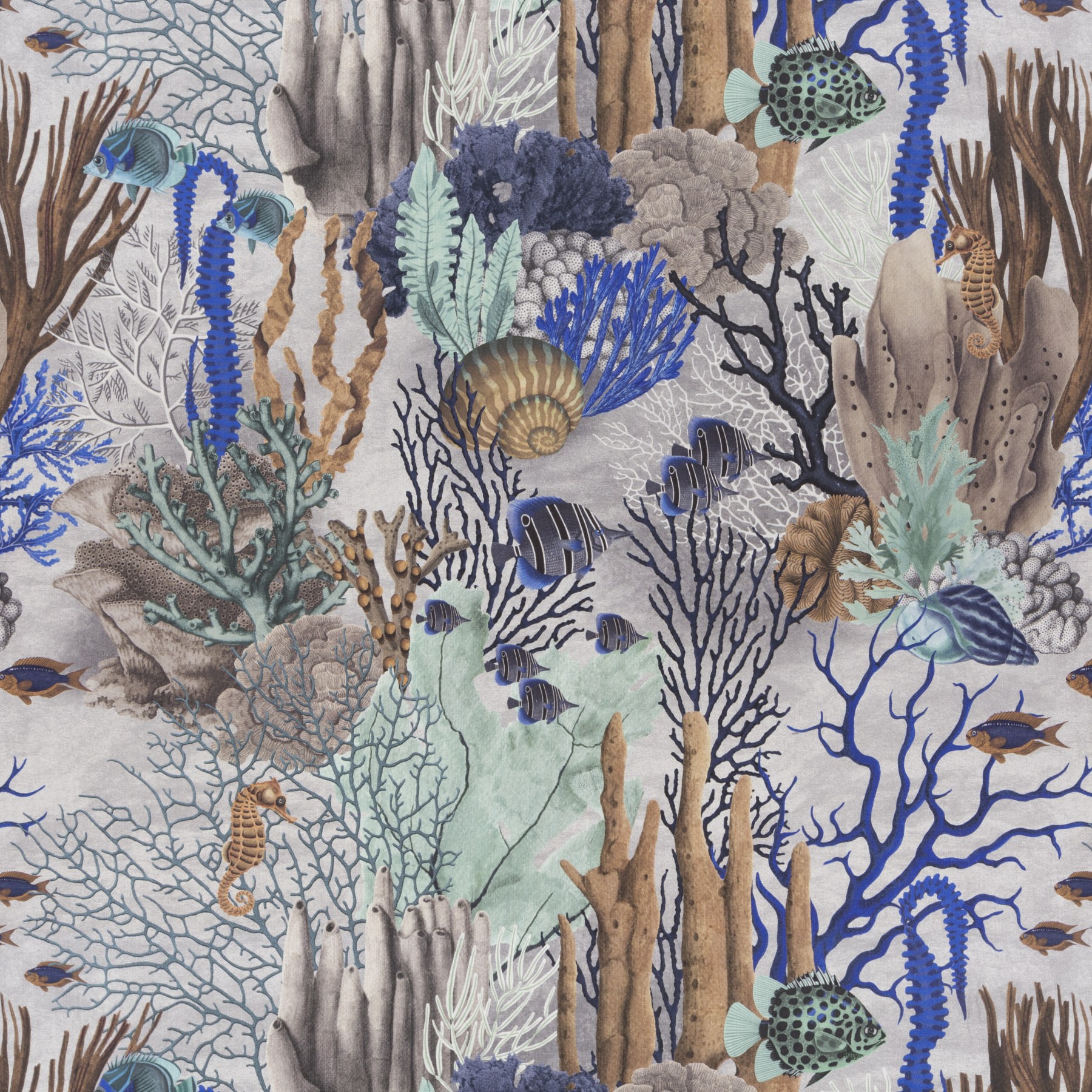 Chivasso Fabulous Reef