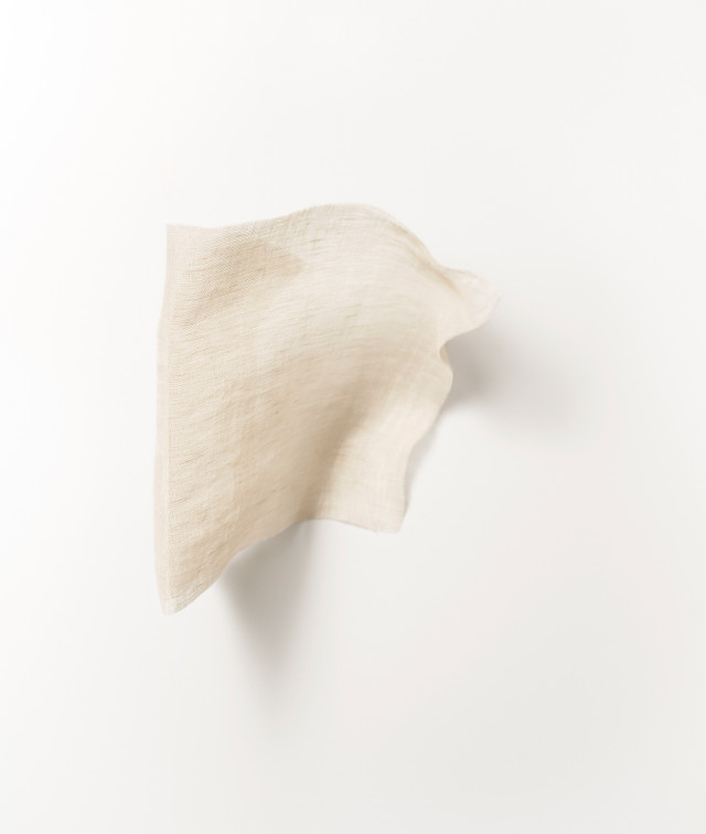 Dedar Wide Linen Colibri