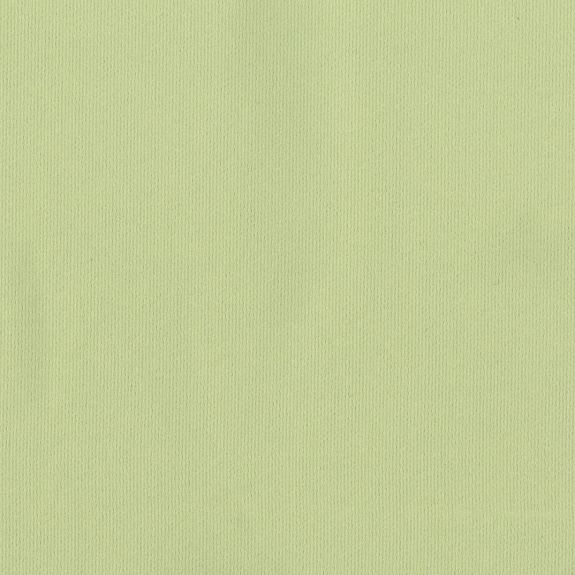 Tiglio