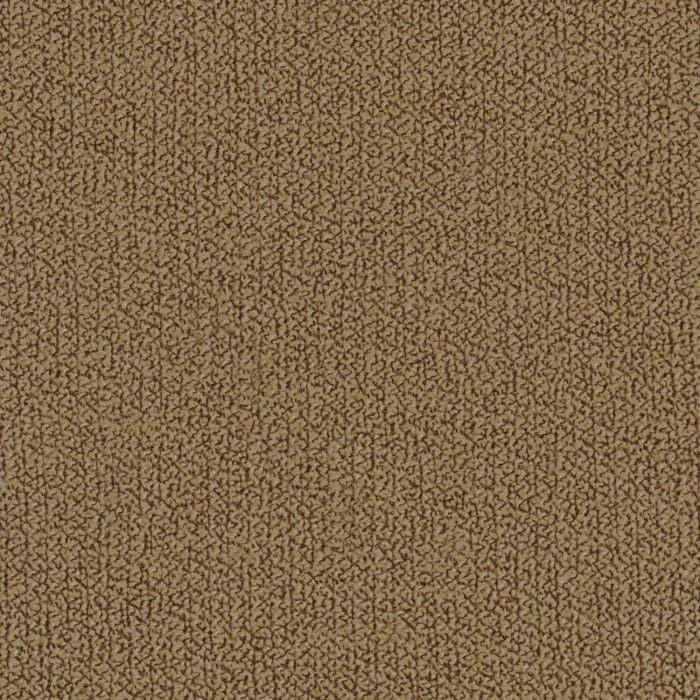 Angora