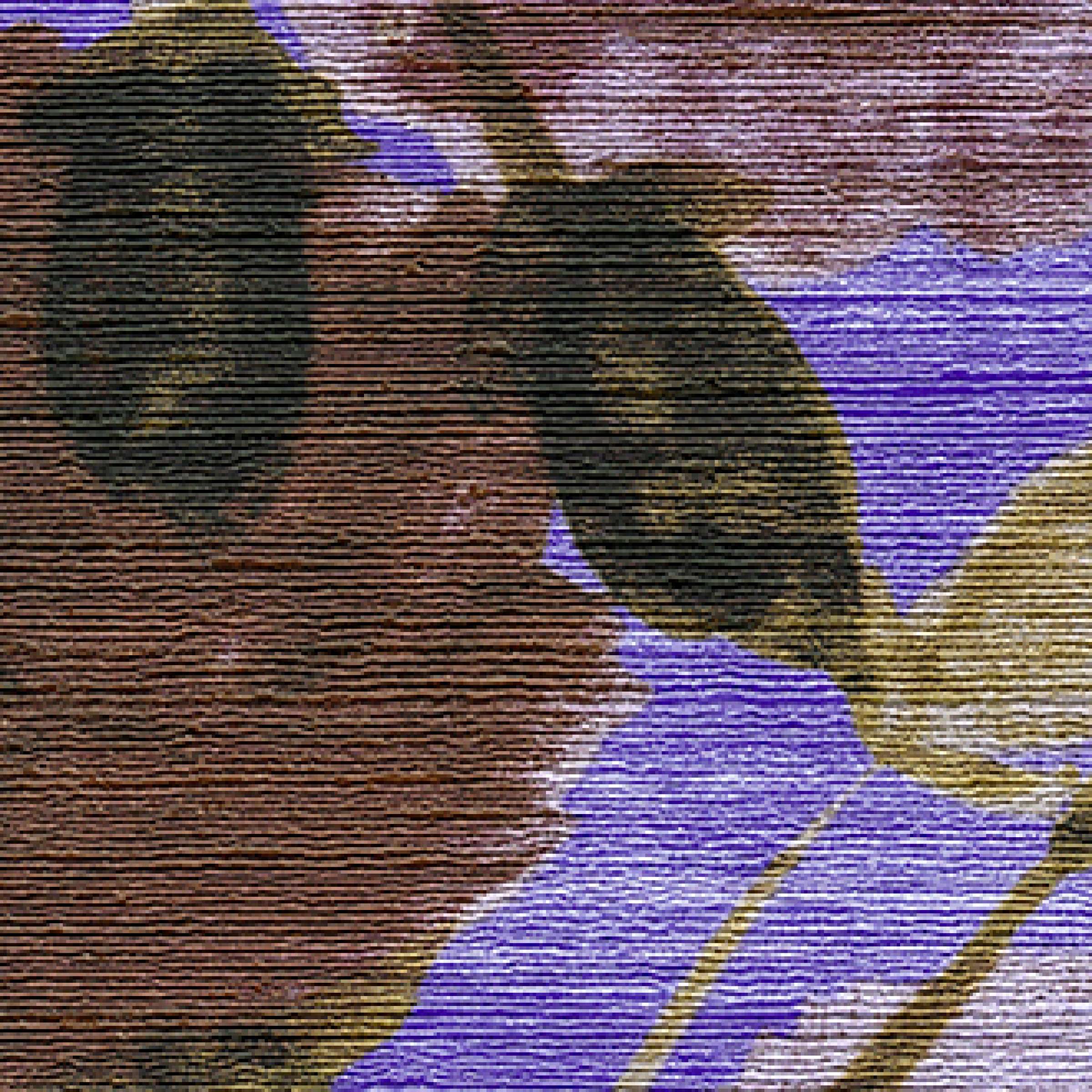 Les fleurs de la nuit