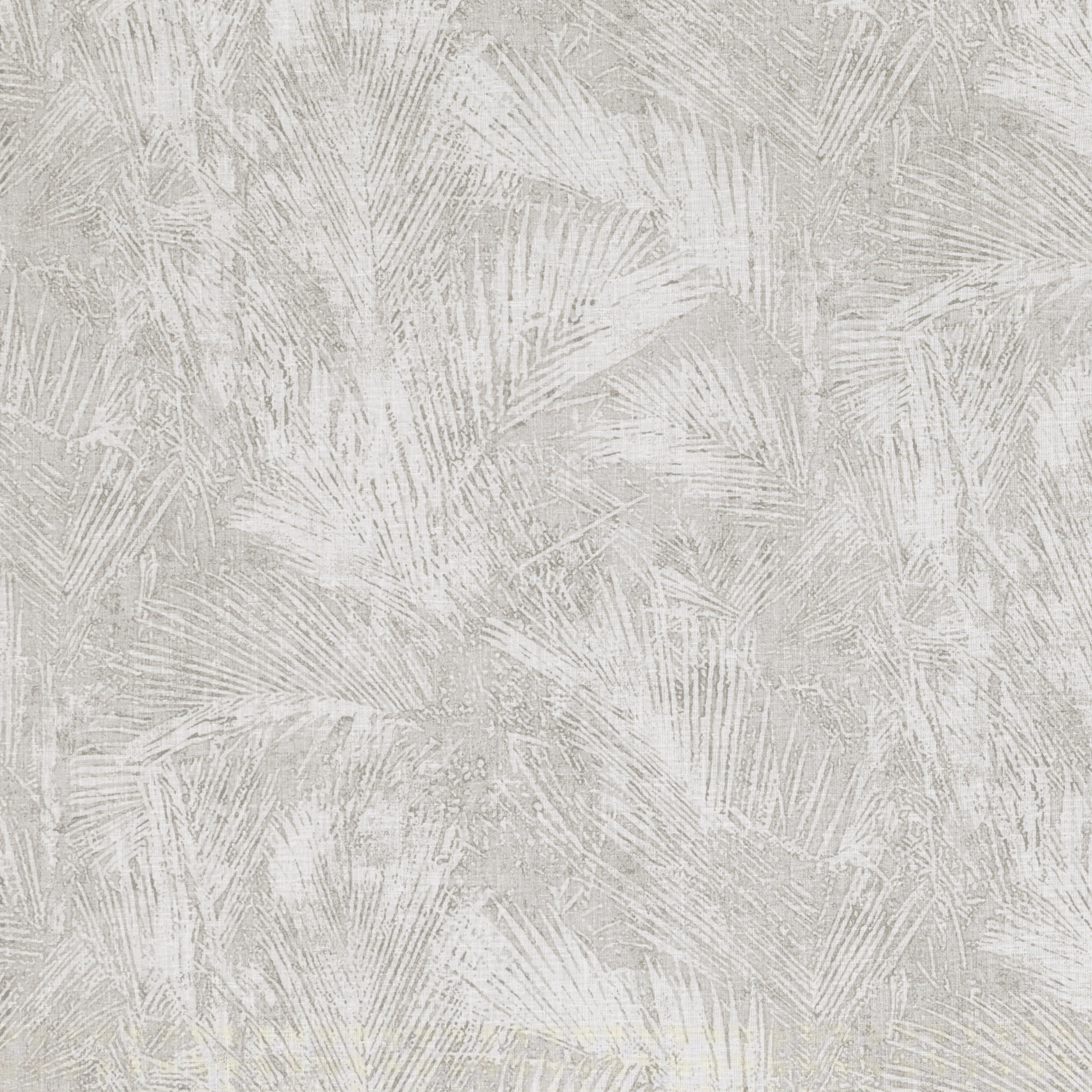 Romo Areca