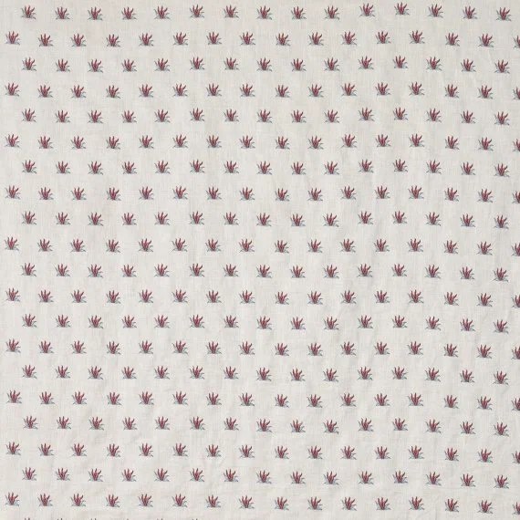 Braquenie Coulonges contrefond