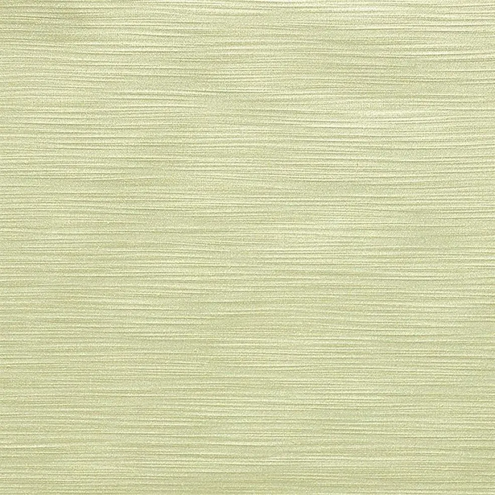 Alchemilla