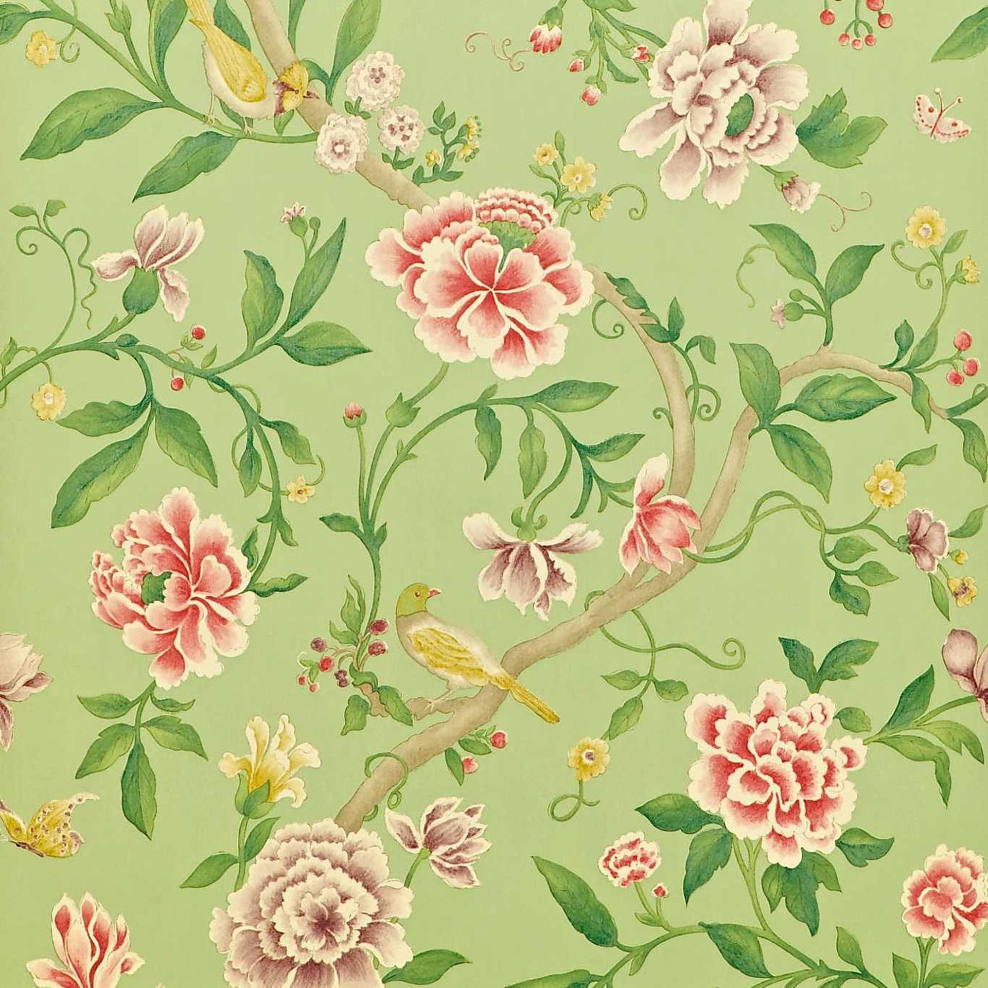 Rose/Fennel