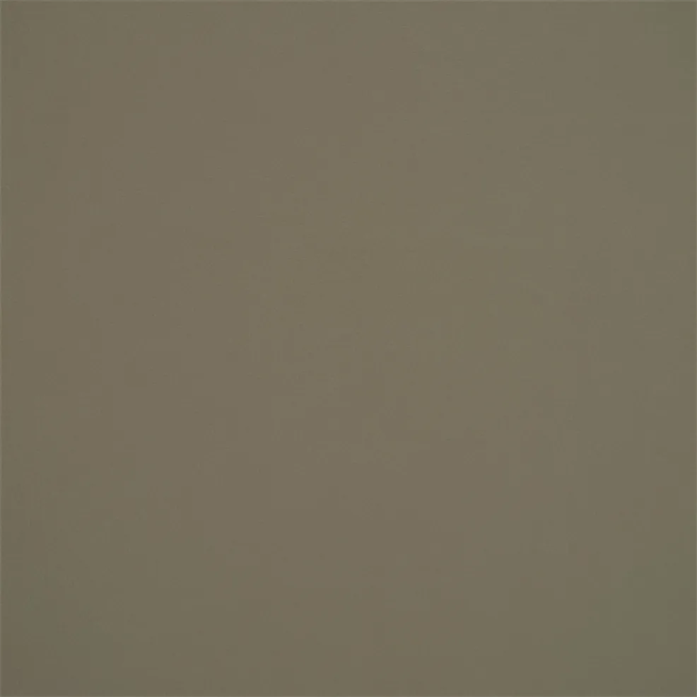 Seagrass