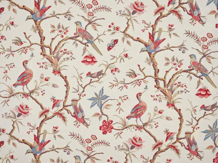 Braquenie La valliere