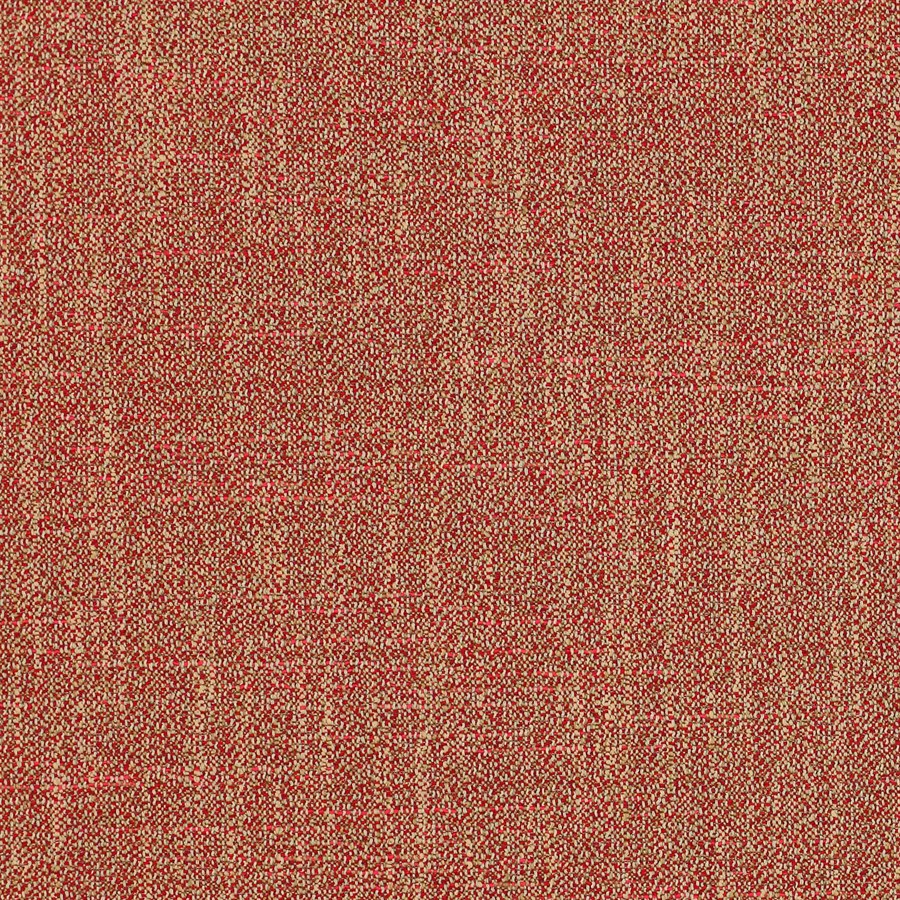Tulipe