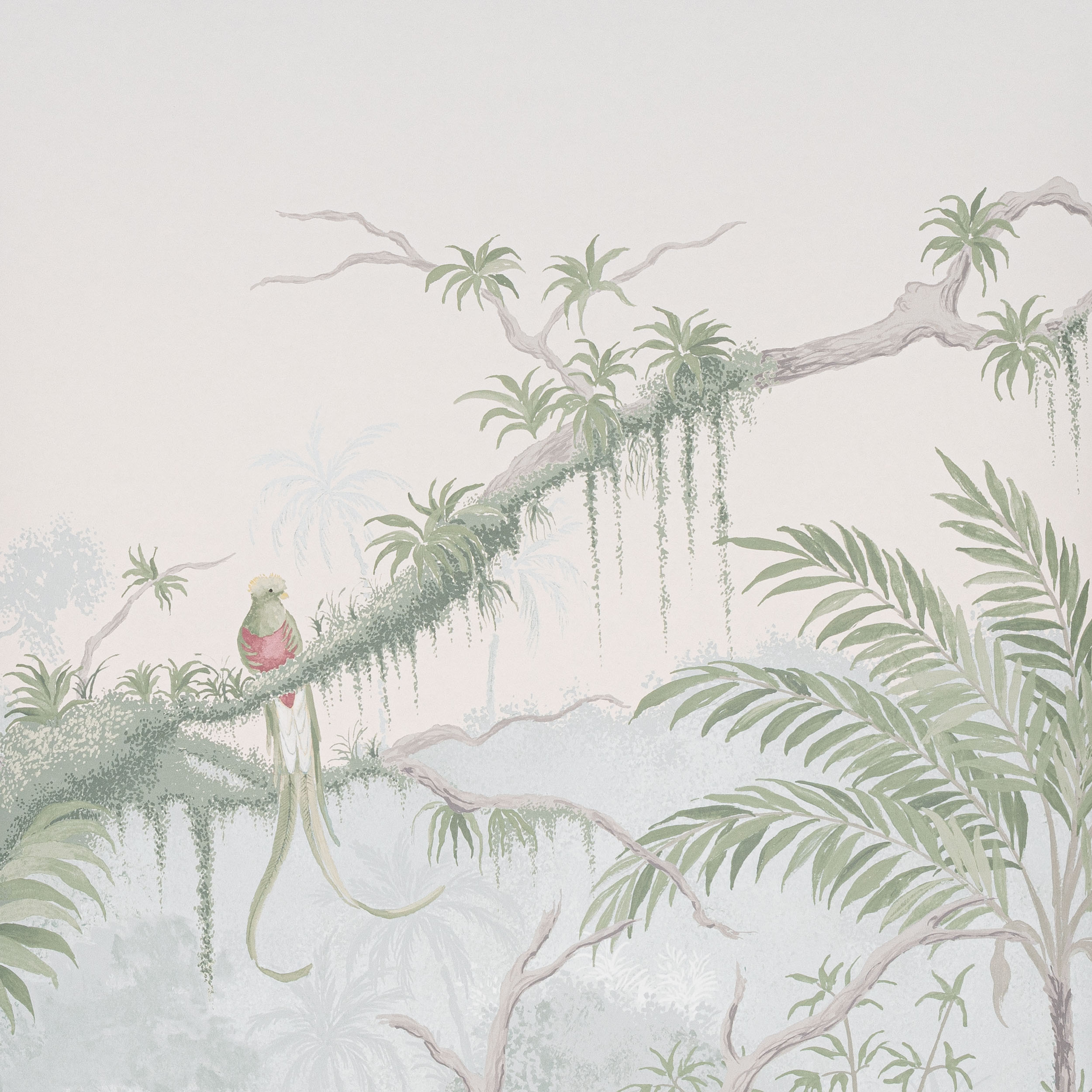 Manuel Canovas Borneo Manuel Canovas Borneo