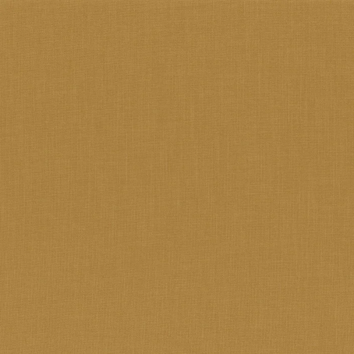 Ambre