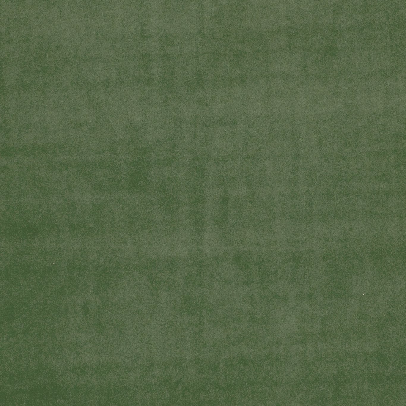 Chive 