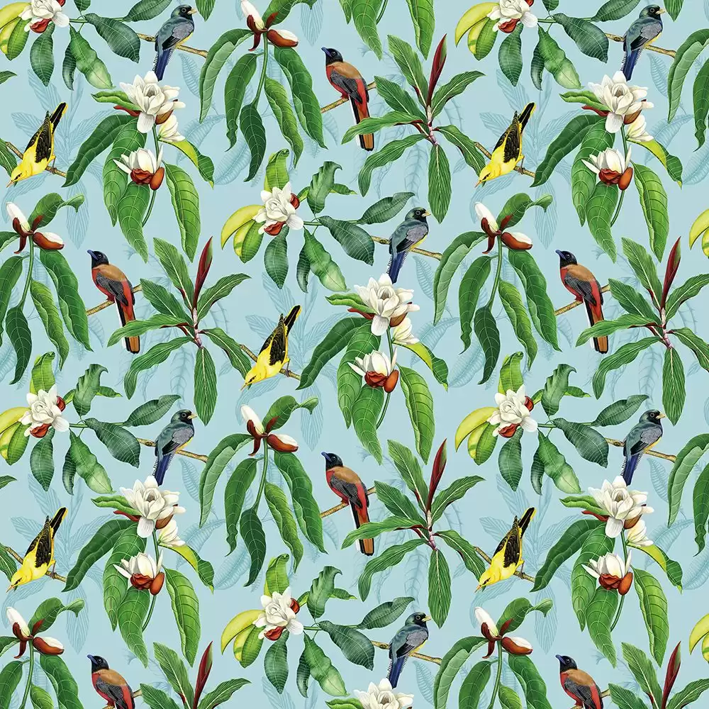 Osborne & Little Michelia Outdoor