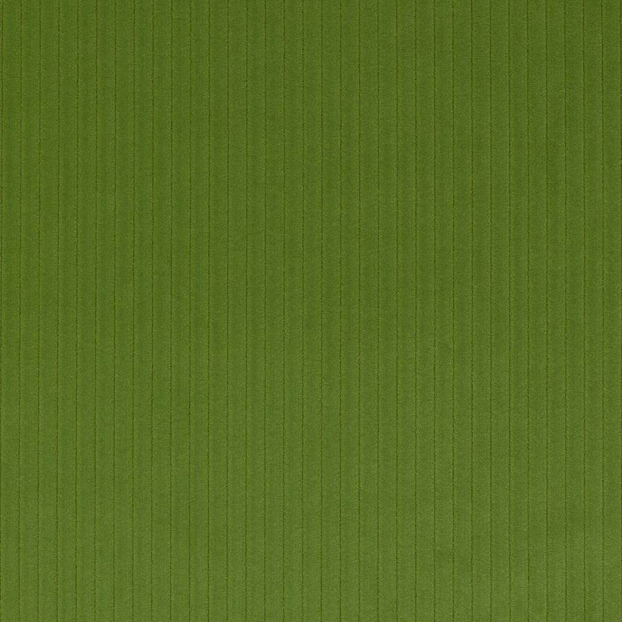 Prairie