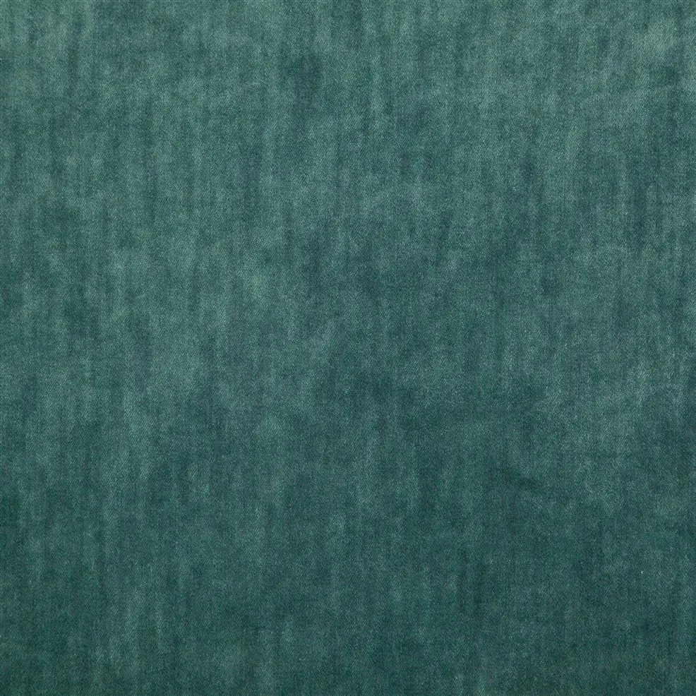 Ocean