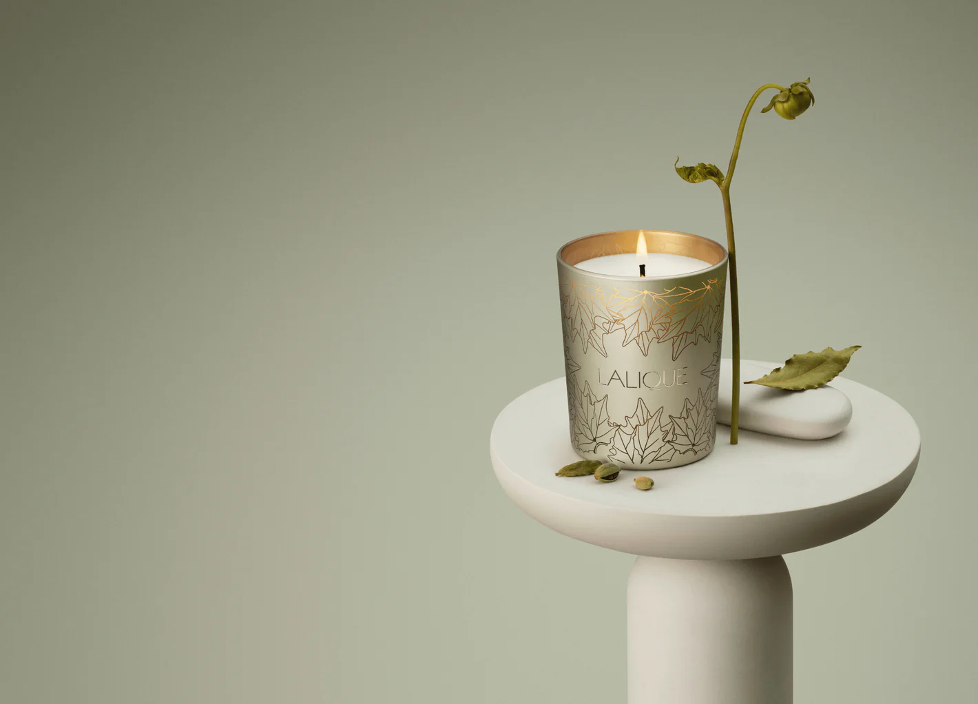 Lalique Le Parc New York Candl 190 g