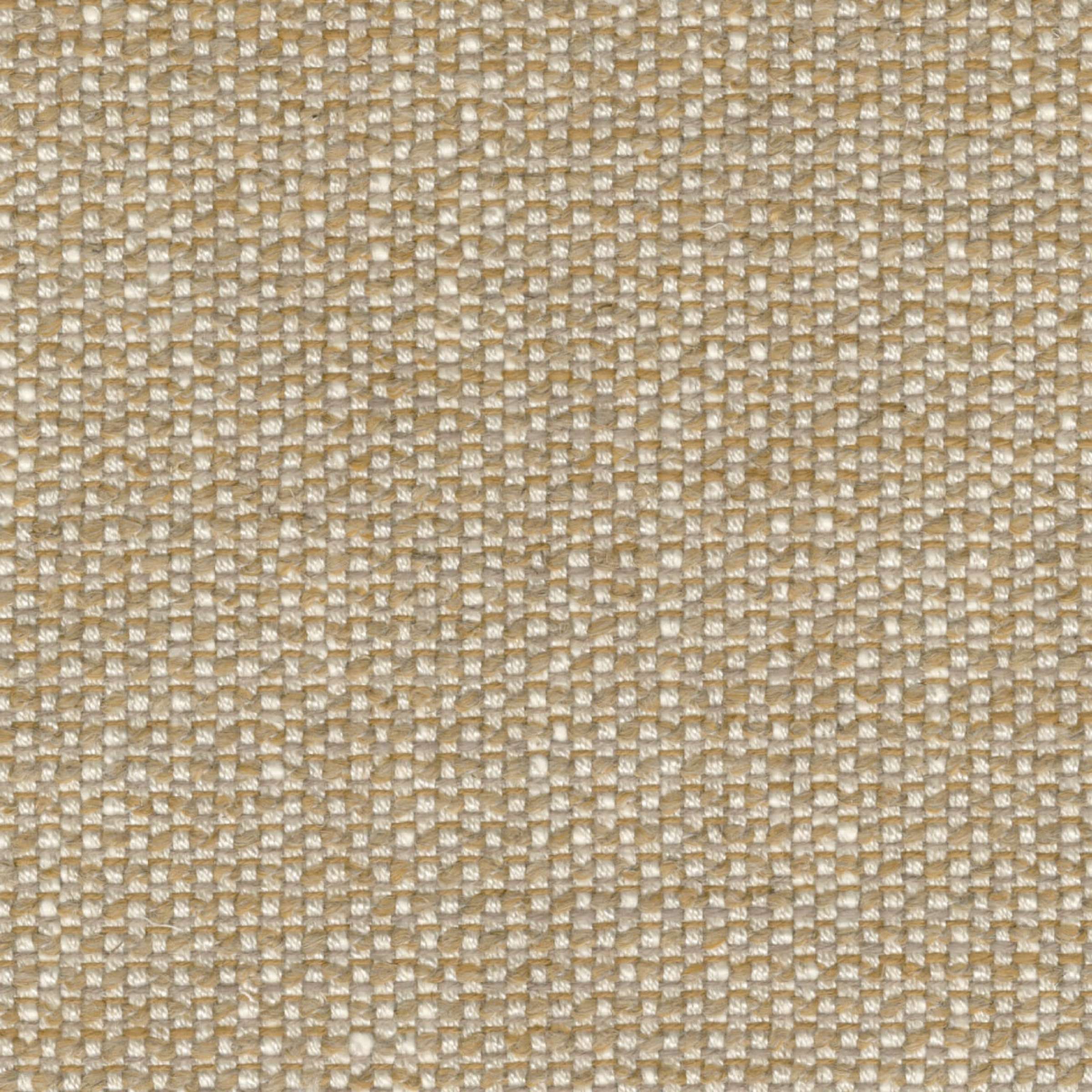 Elitis Erland Elitis Erland