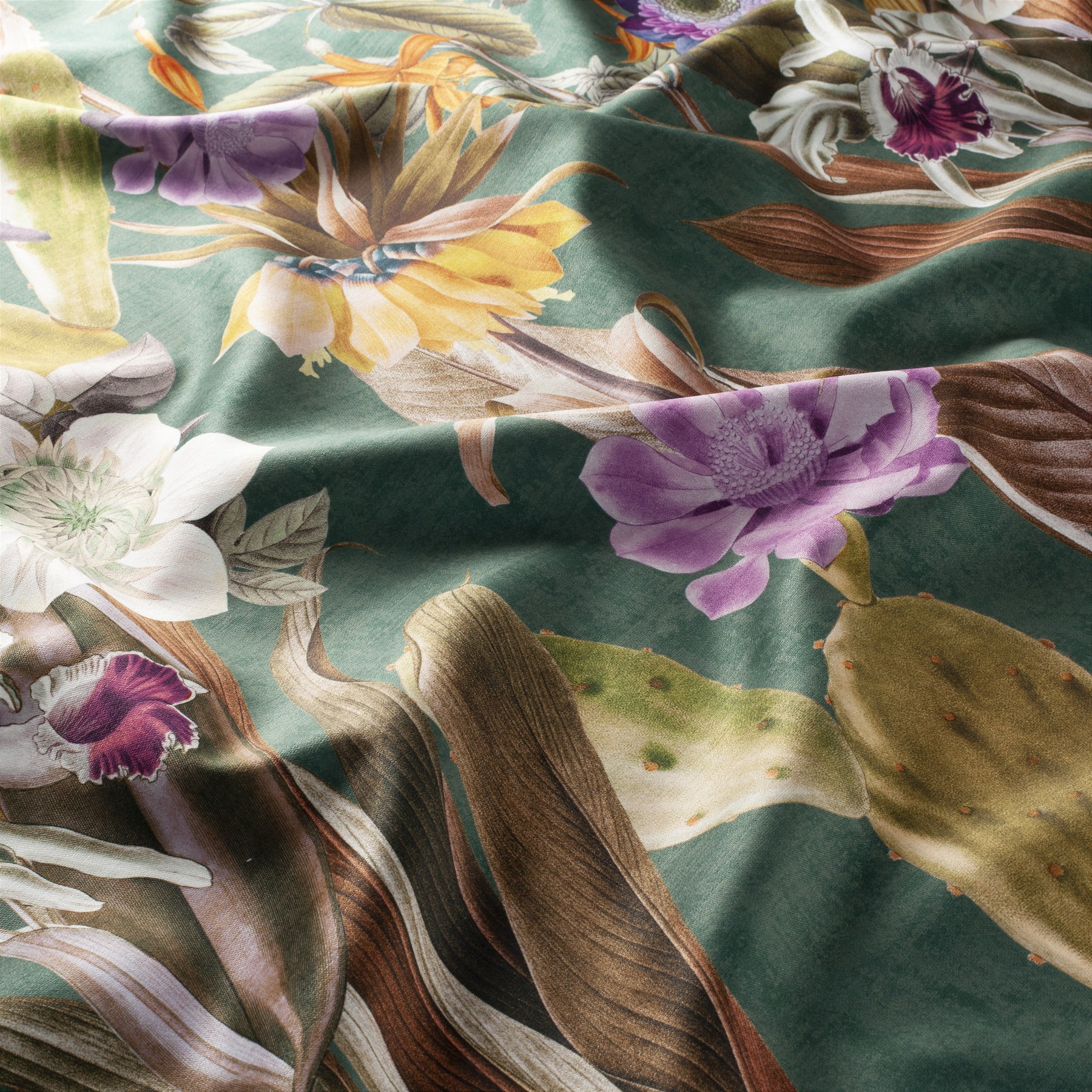 Carlucci Cosmic Flowers