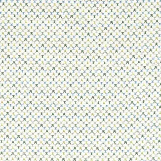 Harlequin Mini Wood Frog 