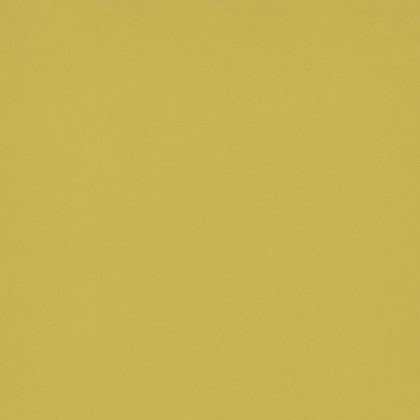 Jaune ocre