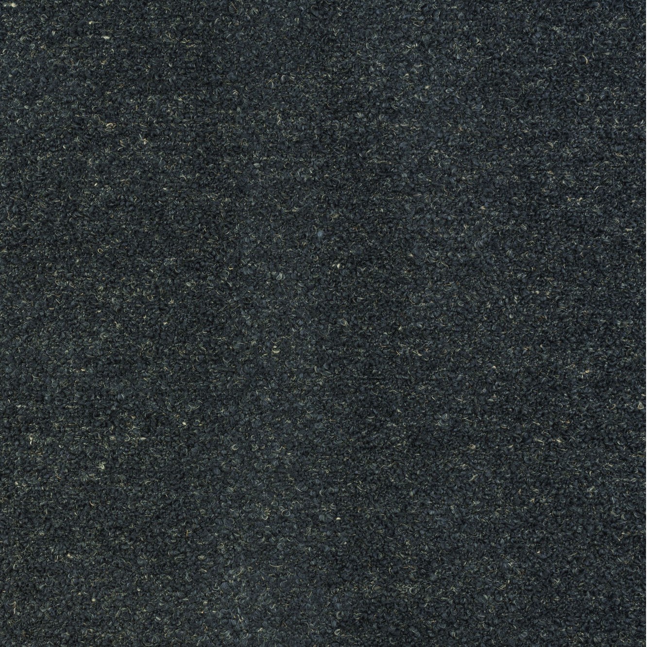 Fischbacher 1819 Boucle Sauvage