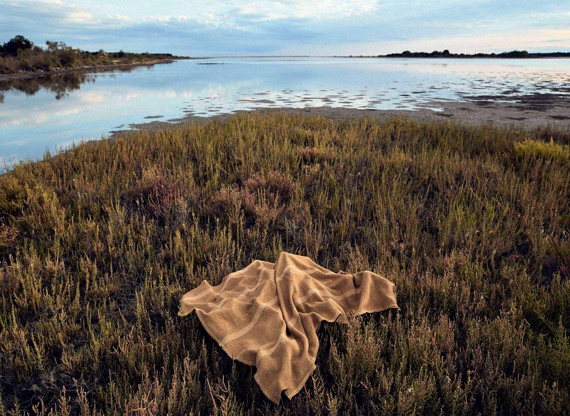 Elitis Dans les roseaux Elitis Dans les roseaux