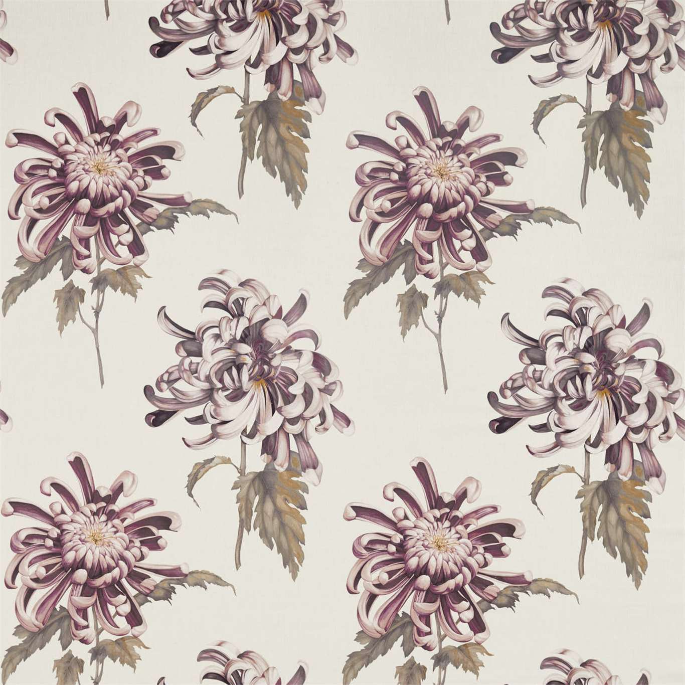 Zoffany Evelyn