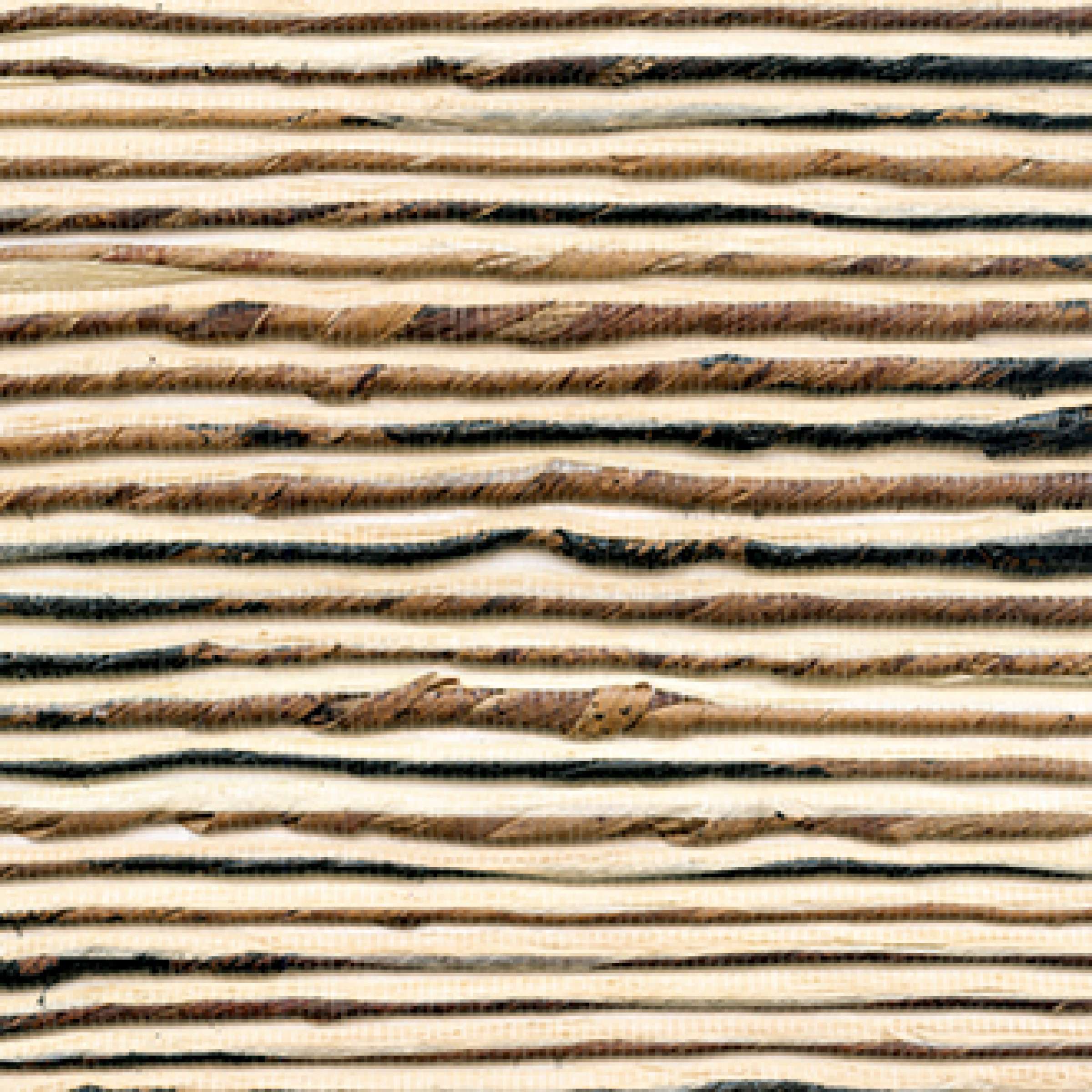 A l'ombre des persiennes