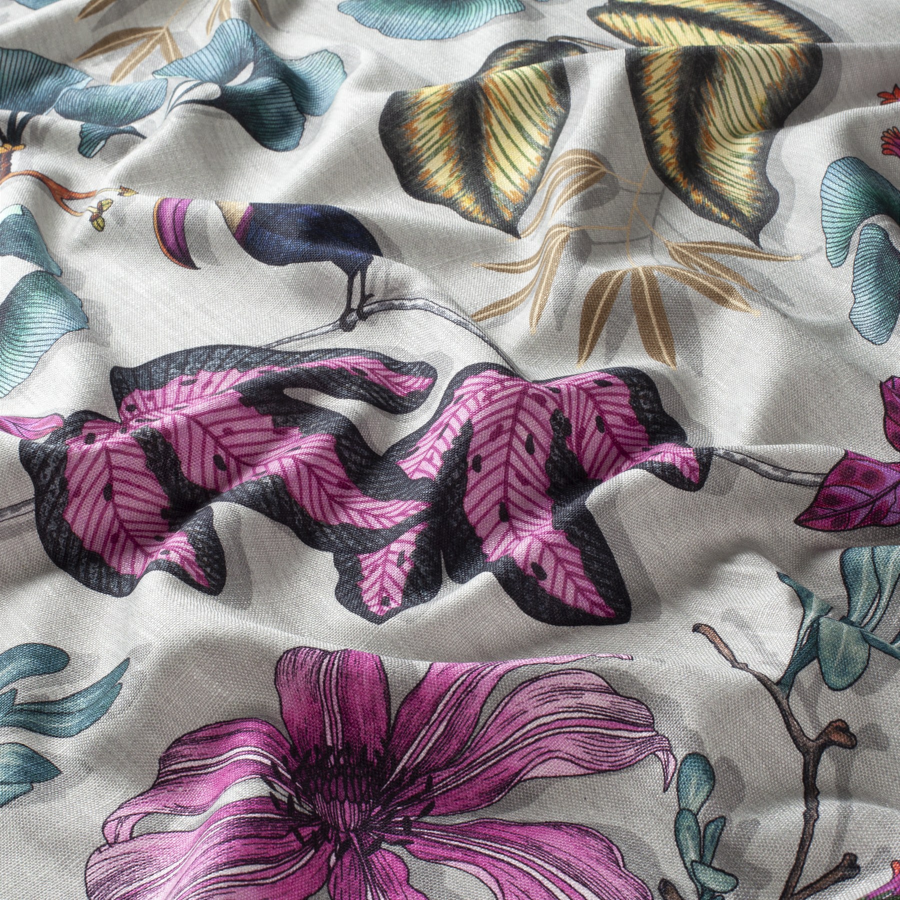 Chivasso Fantastic Madagascar