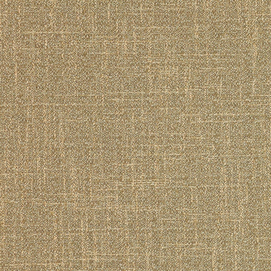 Manuel Canovas Rita