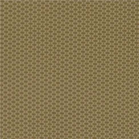 Nutmeg