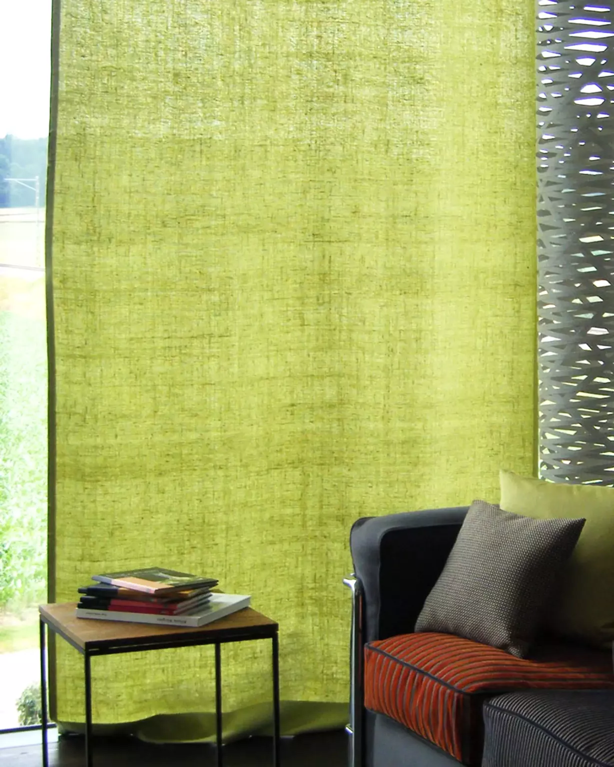 Création Baumann Raja III