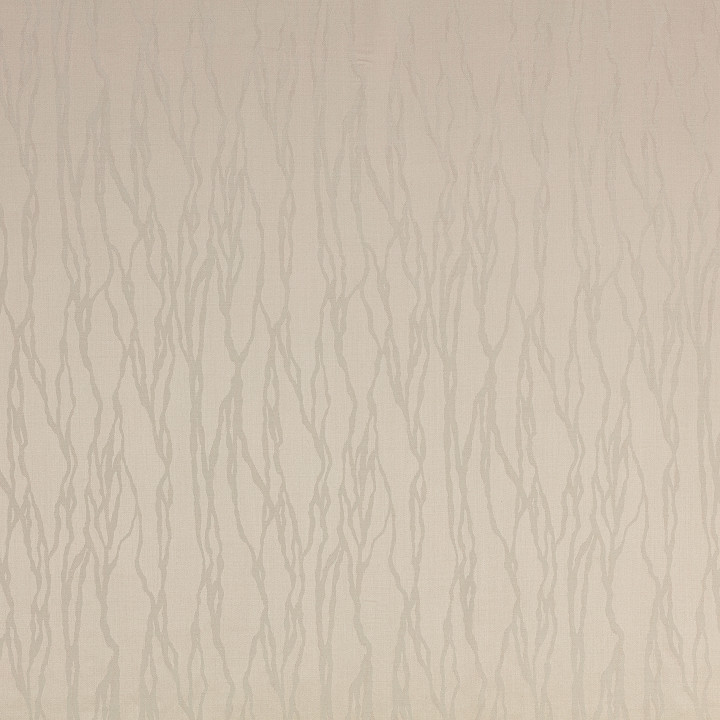 Mark Alexander Rivulet Mark Alexander Rivulet