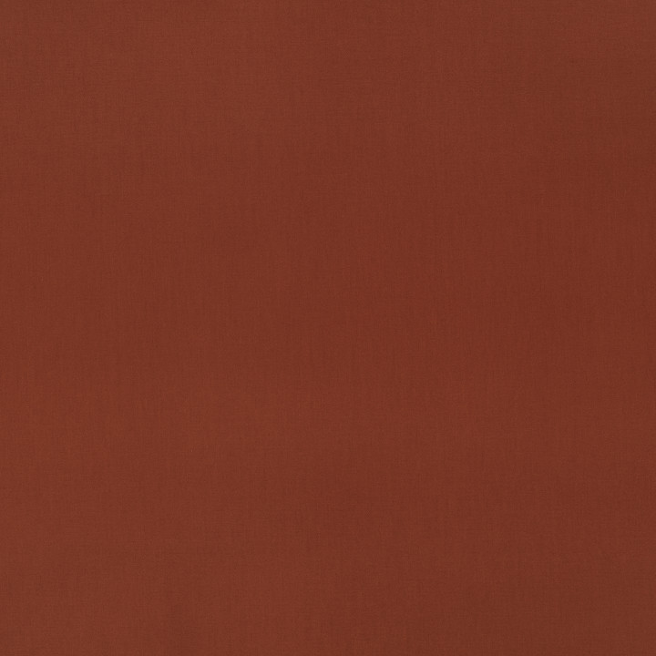 Burnt Orange