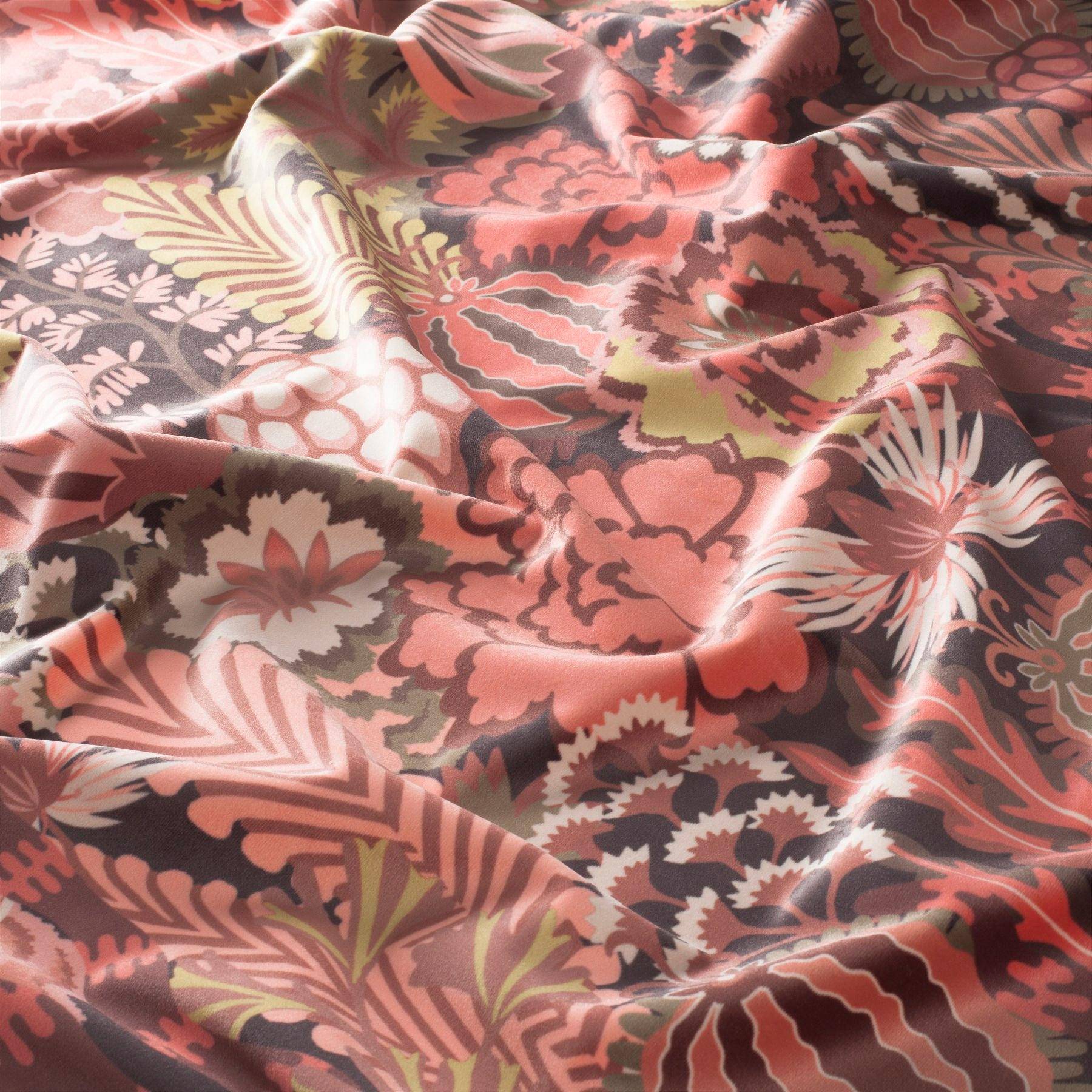 Chivasso Curious Wonderland 