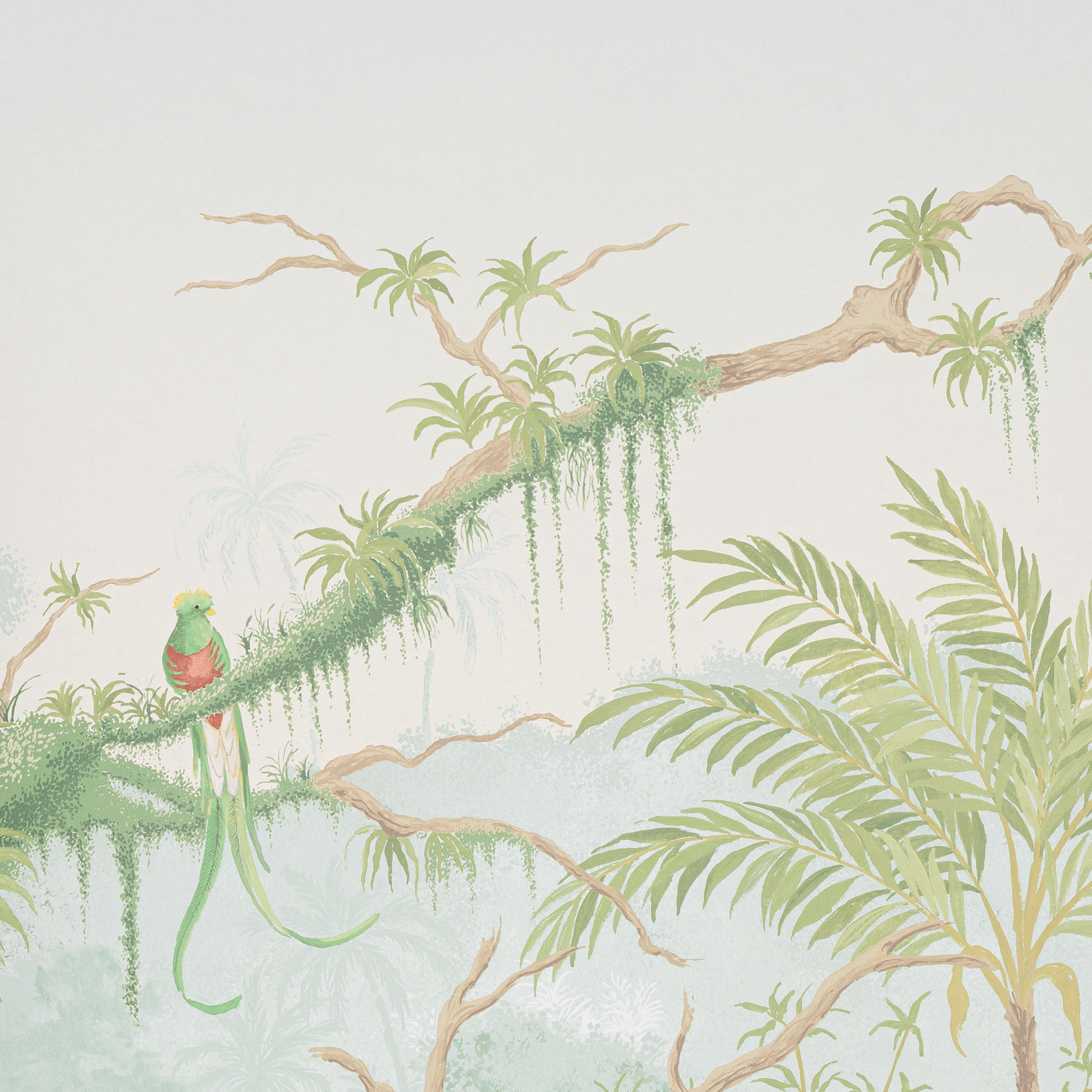 Manuel Canovas Borneo Manuel Canovas Borneo