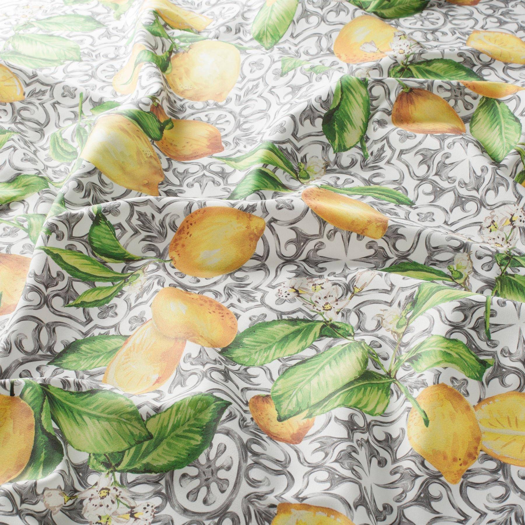 JAB Limoncino 