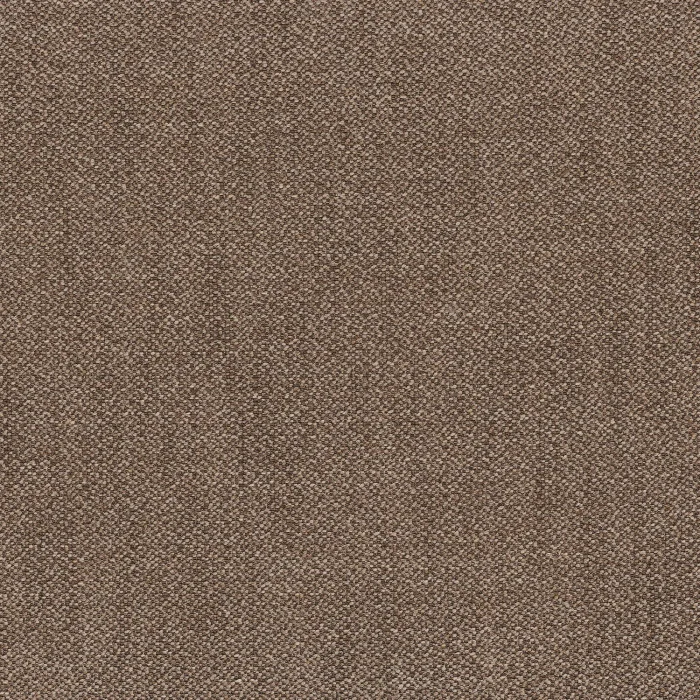 Cacao