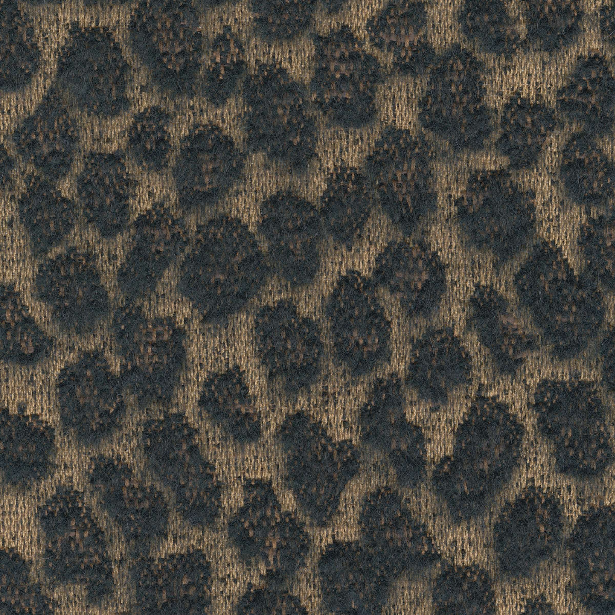 Obscurité des basses terres