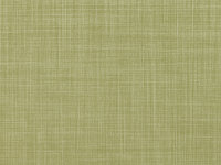 Willow