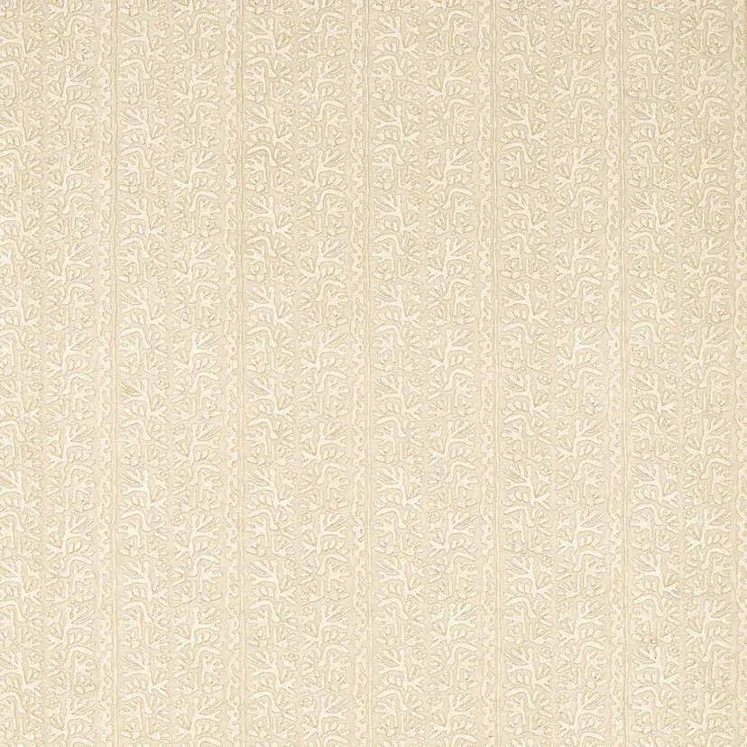 Almond/Diffused Light