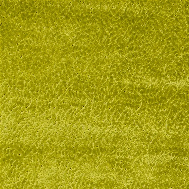 Moss