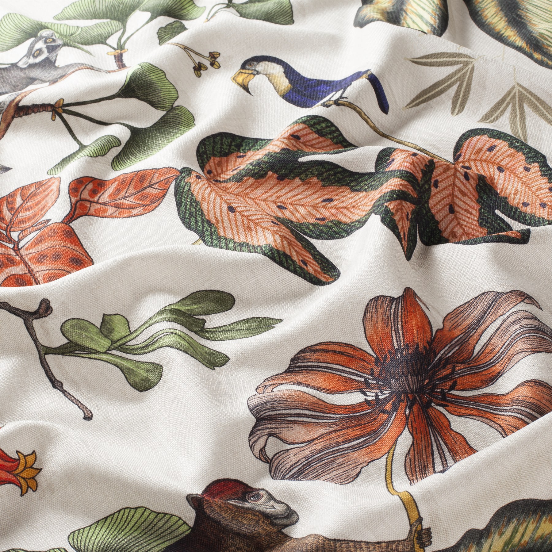 Chivasso Fantastic Madagascar