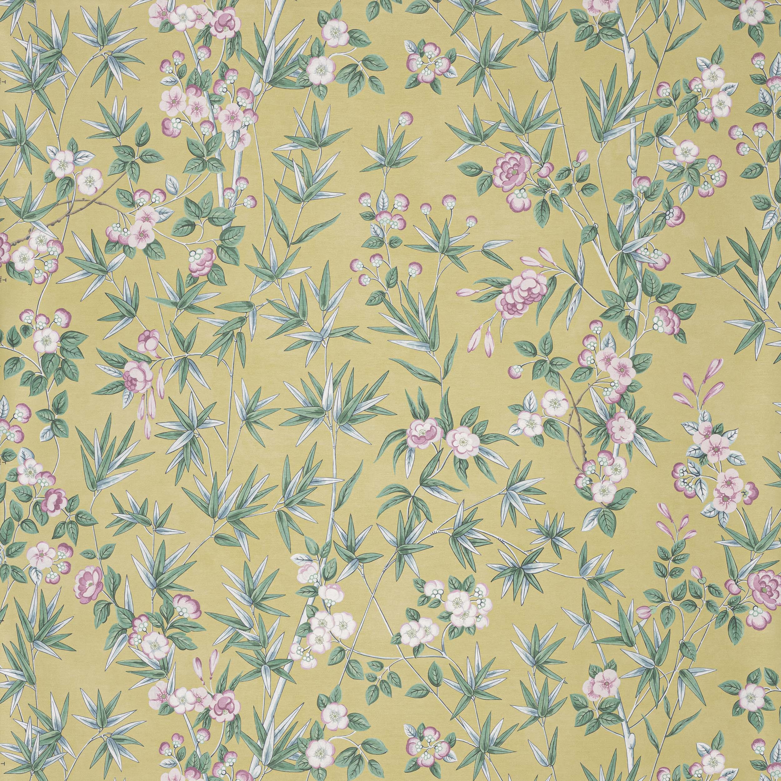 Manuel Canovas Haru Manuel Canovas Haru