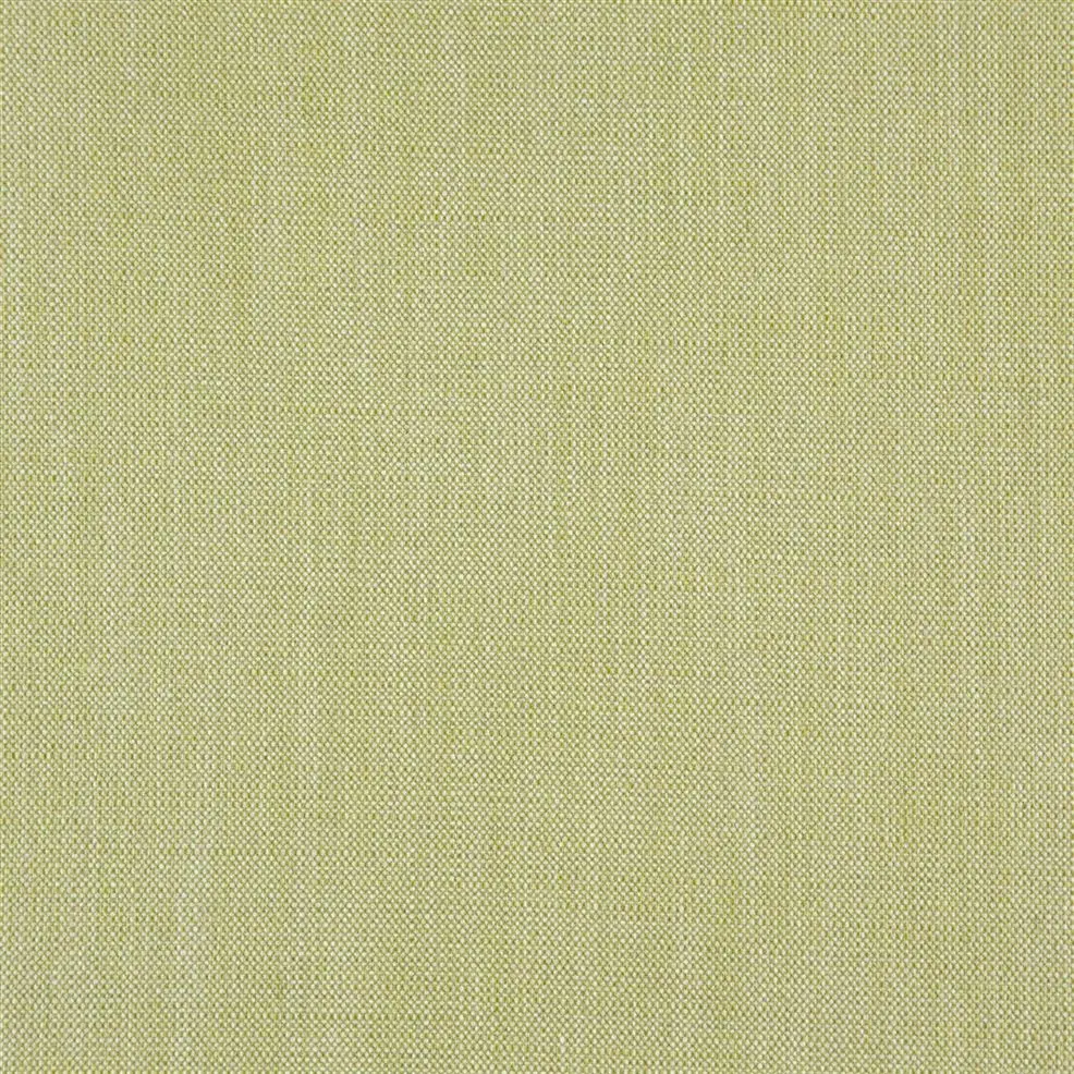 Pale Moss