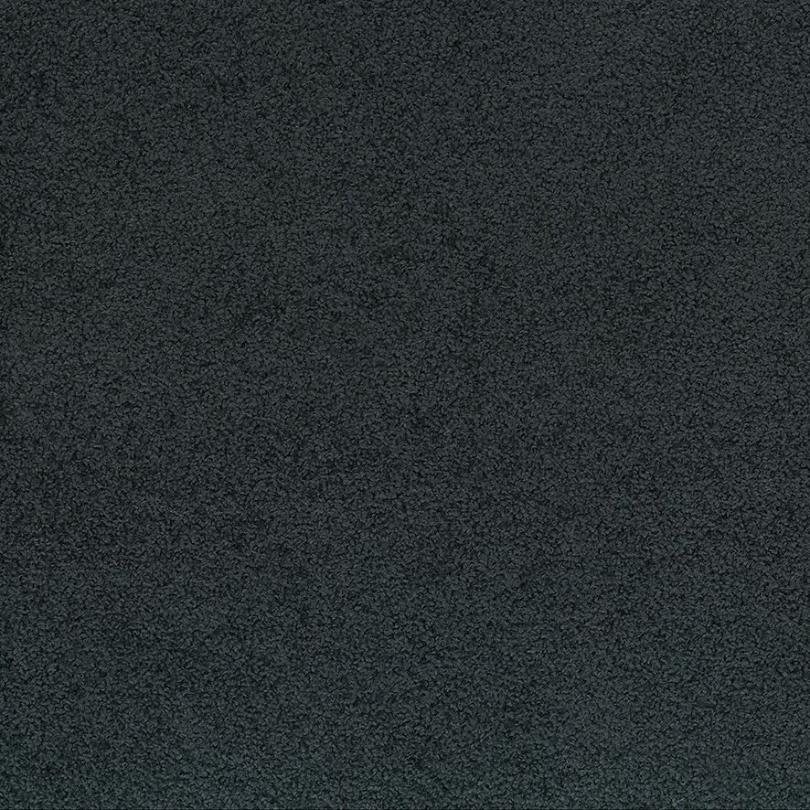 Coal